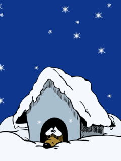 Animal Screensavers 0099